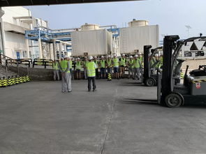 津门添趣 食品工厂里的叉车地牛竞技赛